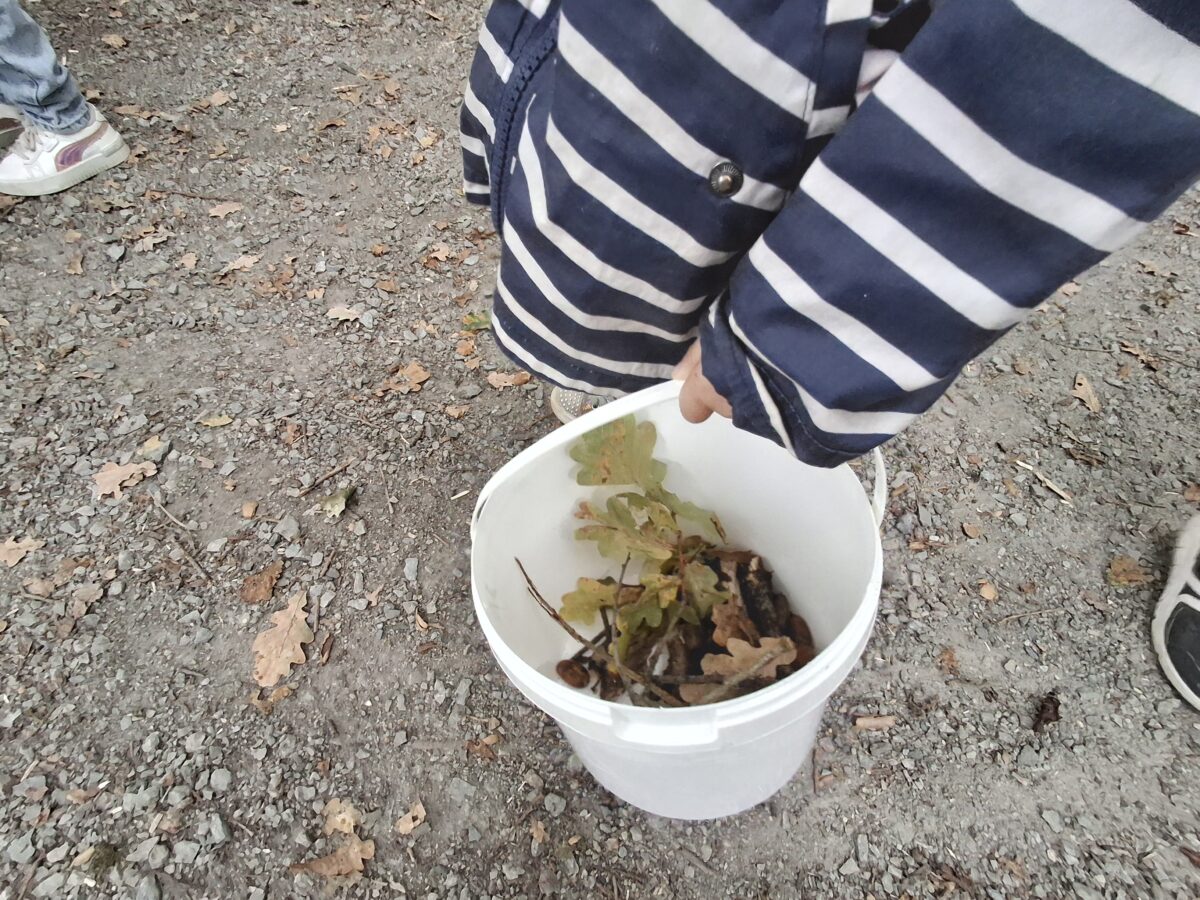 Une balade pour trouver des trésors de la nature