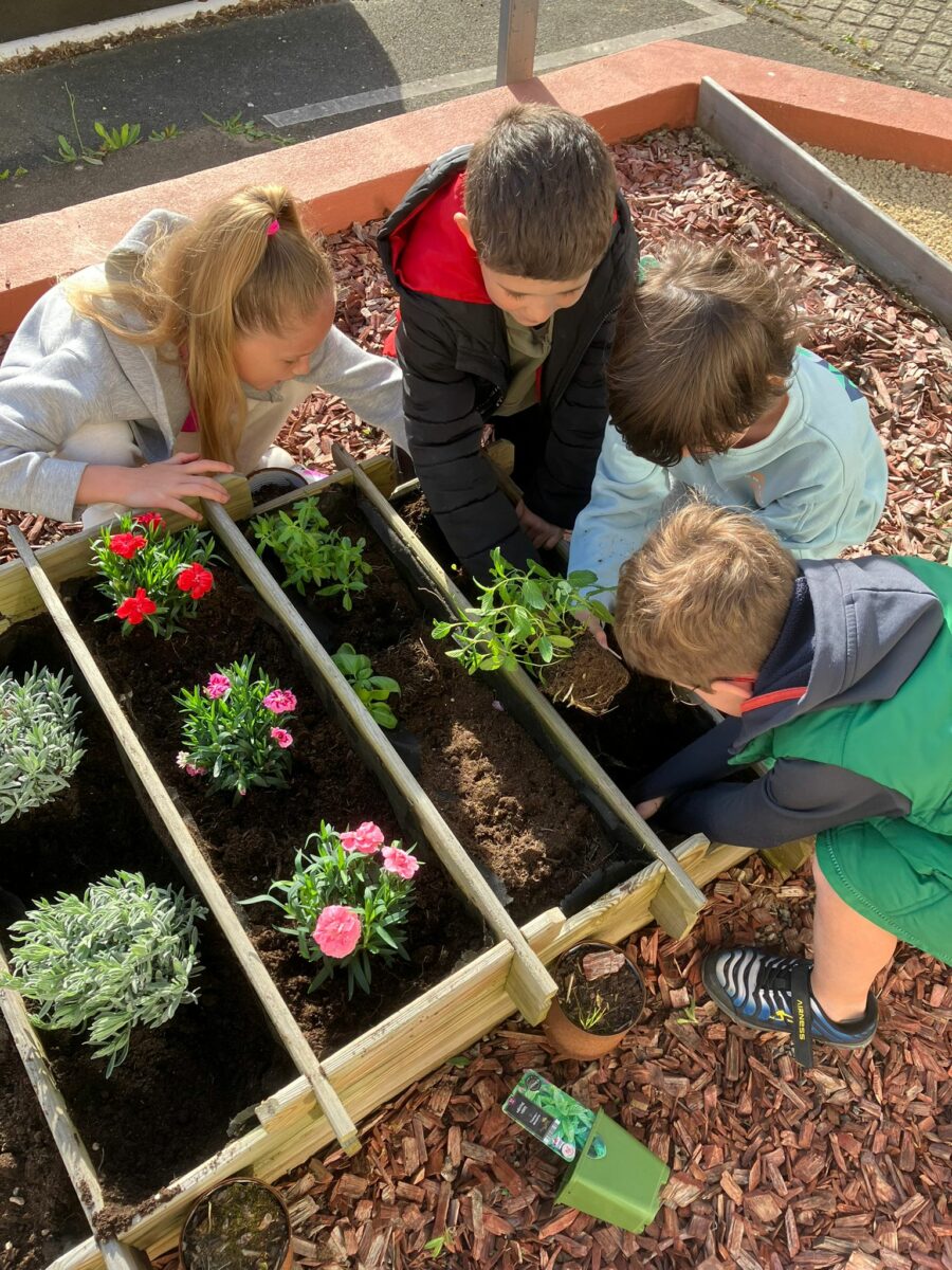 Les jardiniers en herbe passent à l&rsquo;action !